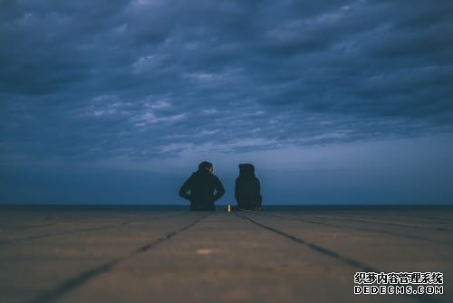 桂花是——，深度解析使用技巧与实战指南