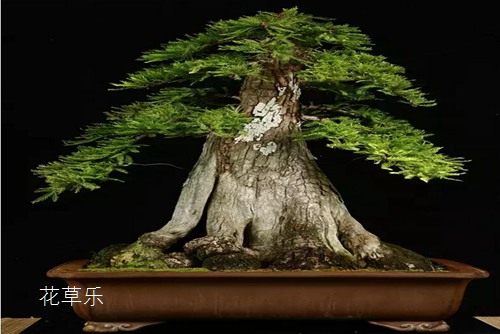 索尼24240镜头国产日韩欧美不卡在线二区，解锁视觉新维度，探索摄影艺术的无限可能